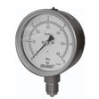 Gauge model (also with diaphragm seal)