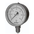 Gauge model (also with diaphragm seal)